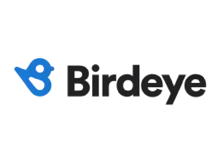 Birdeye logo