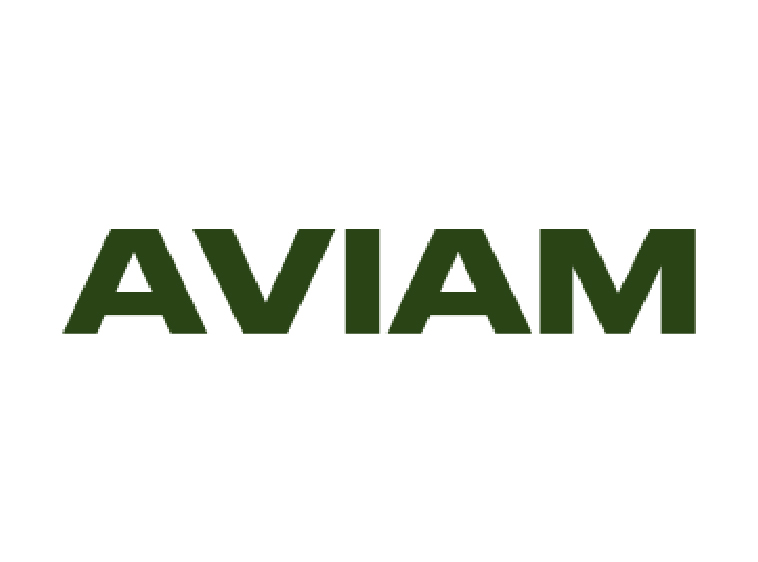 Aviam logo