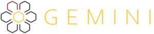 gemini logo